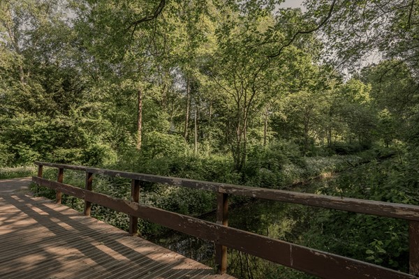 Medium property photo - Logger 270, 1186 RZ Amstelveen